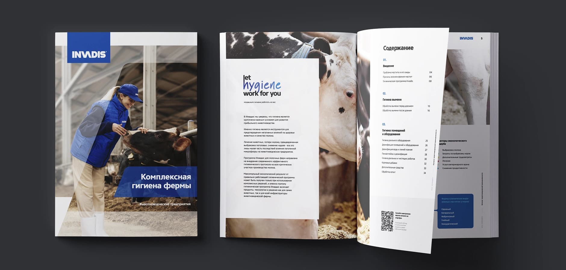 Picture of the cow's hoof